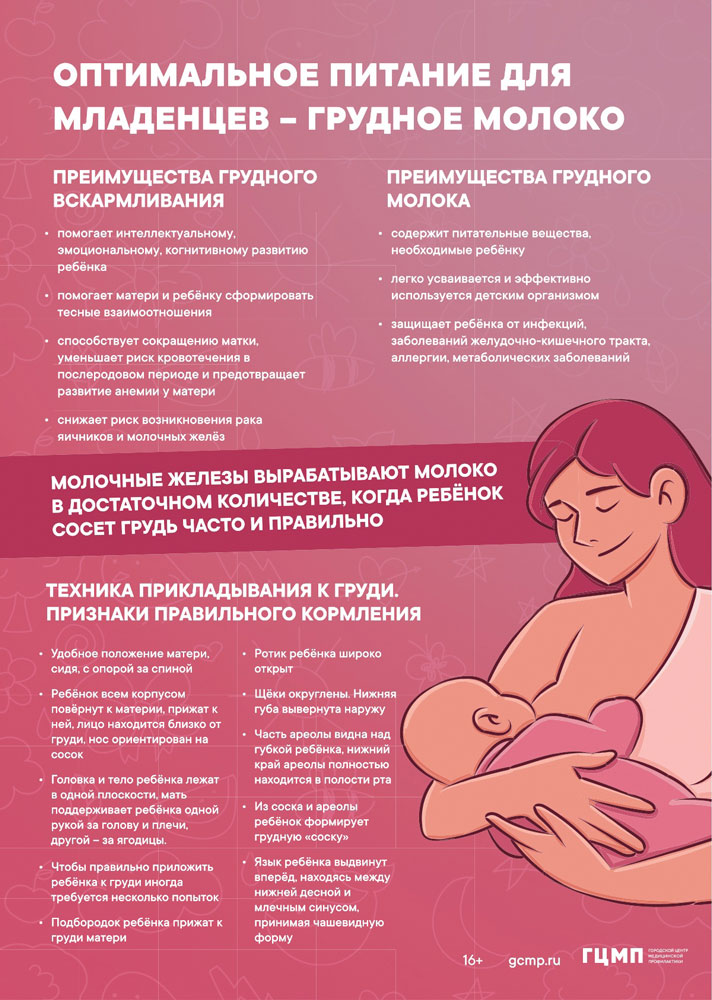 Грудное вскармливание Грудное вскармливание